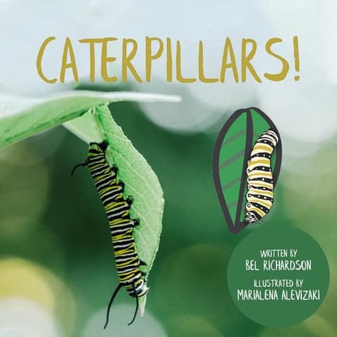 Animal Decodable Reader with V/V Syllables | Caterpillars!
