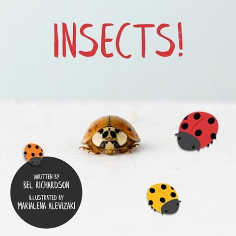 Nature Decodable Reader with Prefixes | Insects!
