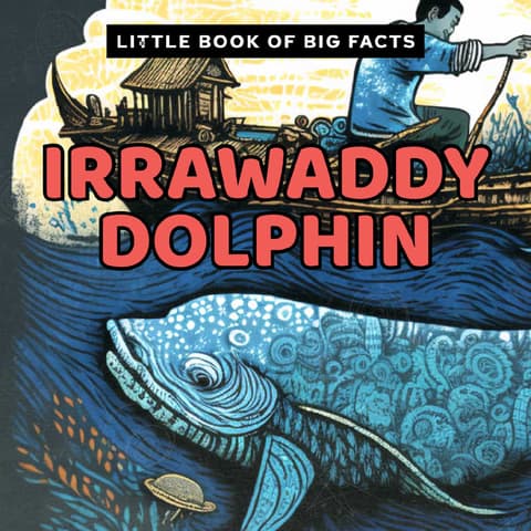 Decodable Reader with Suffixes | Little Book of Big Facts: Irrawaddy Dolphin