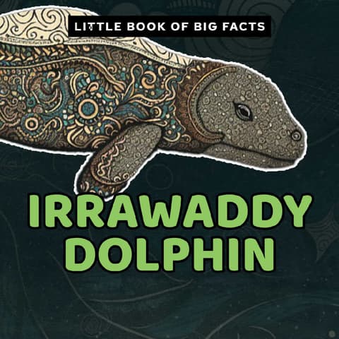 Decodable Reader with 3+ Syllable Words | Irrawaddy Dolphin