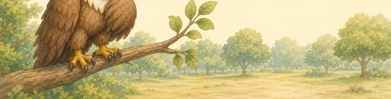 Guillermina perches on a branch looking hungry and tired, holding a wing close to her body. The empty ground below her shows no prey. Her expression is sad and a little weak. Setting: a quiet park tree branch. Mood: lonely hunger.