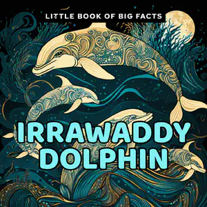 Little Book of Big Facts: Irrawaddy Dolphin