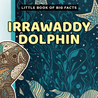 Little Book of Big Facts: Irrawaddy Dolphin