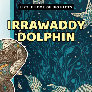 Little Book of Big Facts: Irrawaddy Dolphin