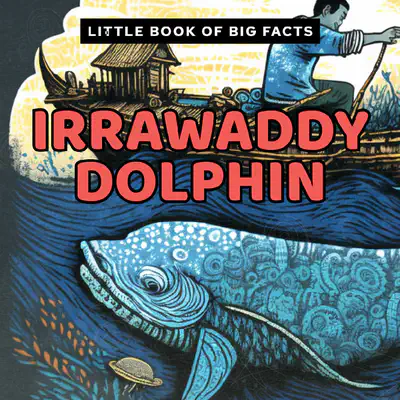 Little Book of Big Facts: Irrawaddy Dolphin