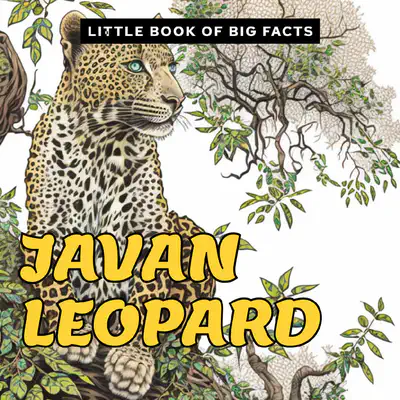 Little Book of Big Facts: Javan Leopard