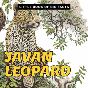 Little Book of Big Facts: Javan Leopard