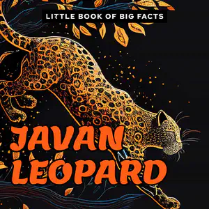 Little Book of Big Facts: Javan Leopard