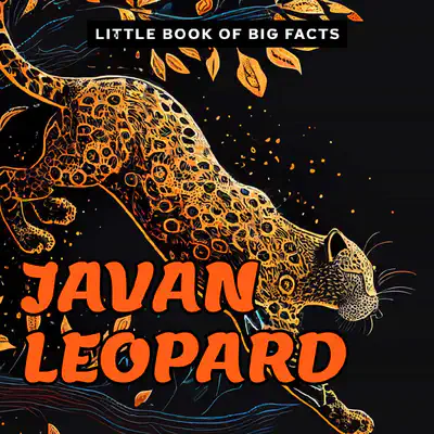 Little Book of Big Facts: Javan Leopard