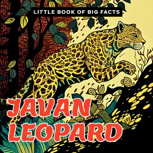 Nonfiction Decodable Reader with 3+ Syllable Words | Javan Leopard