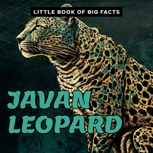 Little Book of Big Facts: Javan Leopard