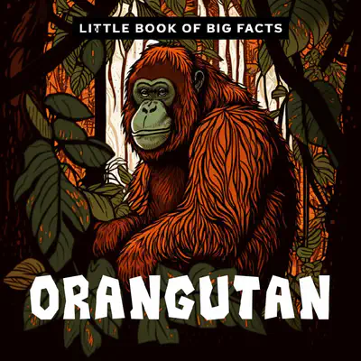 Little Book of Big Facts: Orangutan
