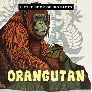 Little Book of Big Facts: Orangutan