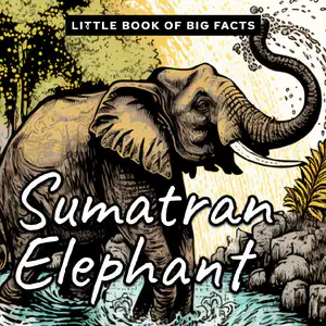 Decodable Reader with 'ea' Words | Little Book of Big Facts: Sumatran Elephant