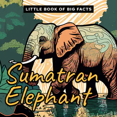 Little Book of Big Facts: Sumatran Elephant