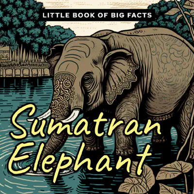 Little Book of Big Facts: Sumatran Elephant