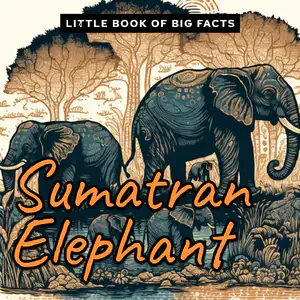 Little Book of Big Facts: Sumatran Elephant