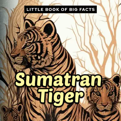 Little Book of Big Facts: Sumatran Tiger