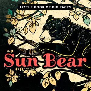 Little Book of Big Facts: Sun Bear
