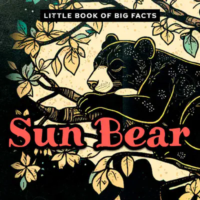 Little Book of Big Facts: Sun Bear