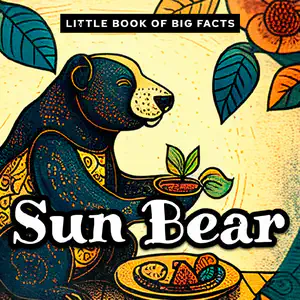 Little Book of Big Facts: Sun Bear