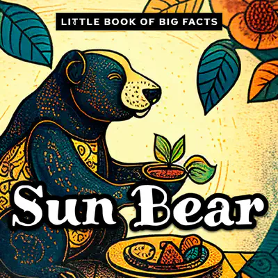 Little Book of Big Facts: Sun Bear