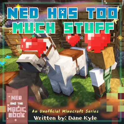 Ned Has Too Much Stuff