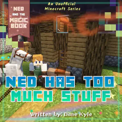 Ned Has Too Much Stuff