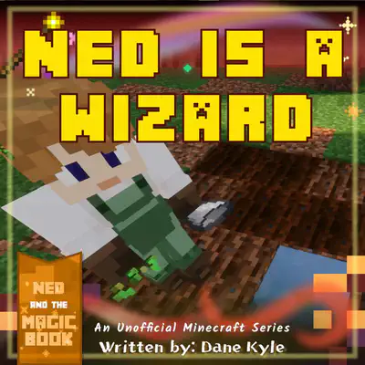 Ned is a Wizard