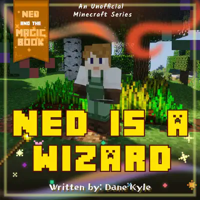 Ned is a Wizard