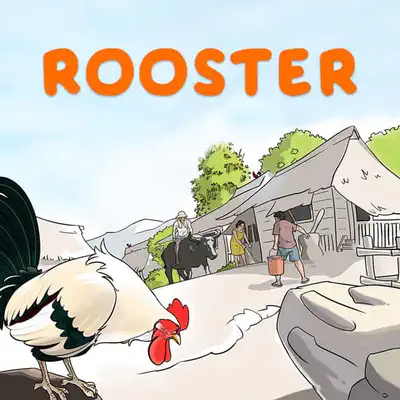 Rooster