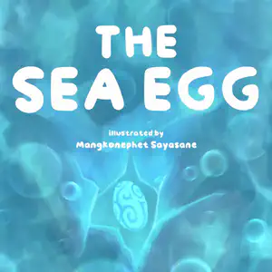 The Sea Egg