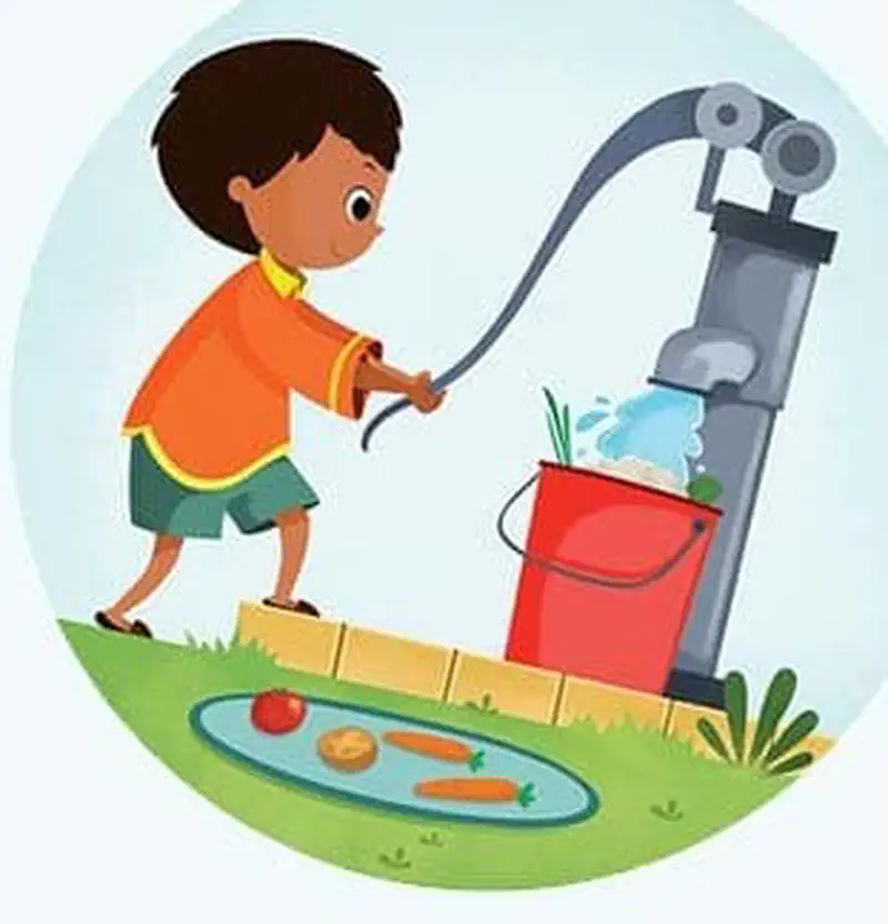 Boy pumping water from hand pump to wash vegetables in red bucket