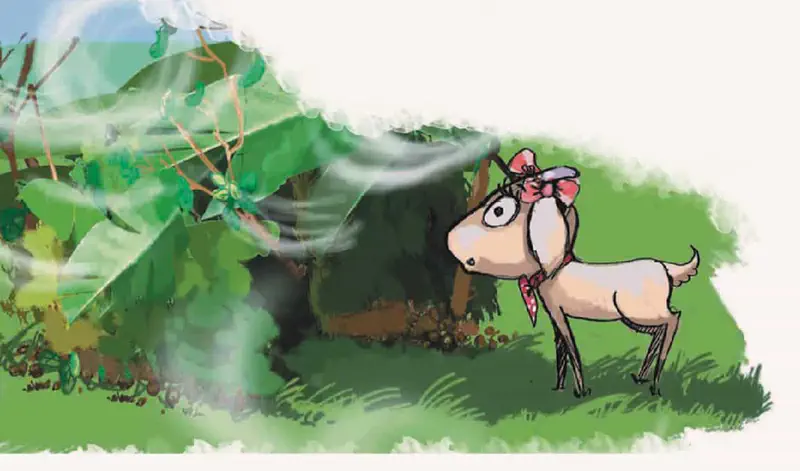 Worried goat with pink bow watching wind blow through her swaying leaf shelter on grassy hillside