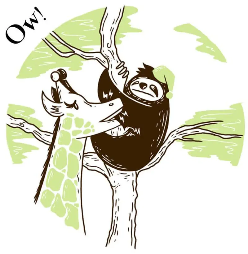 Sloth bumping into giraffe on tree branch saying ow in surprise