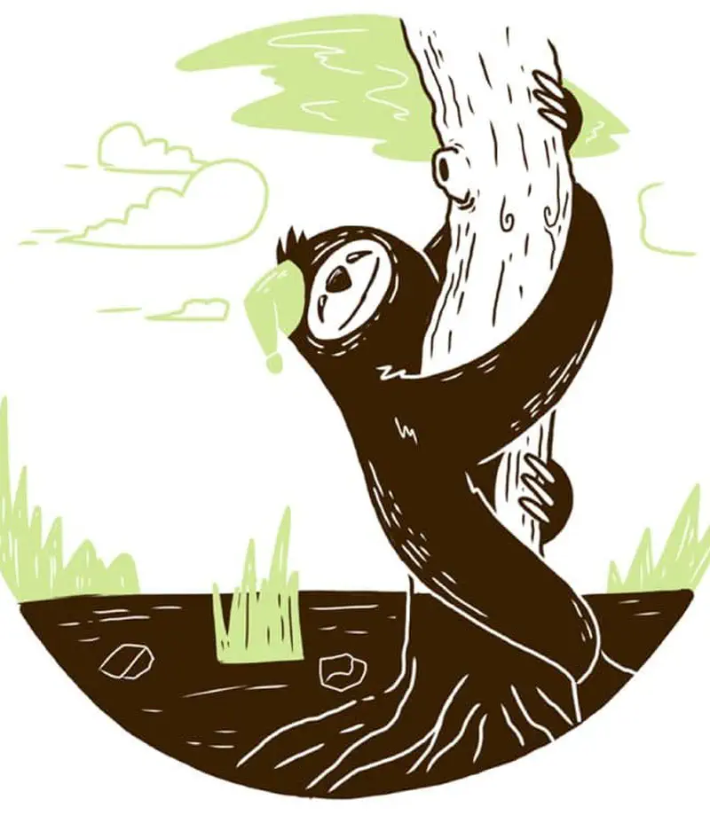 Sloth climbing up tall tree trunk looking for a comfortable spot