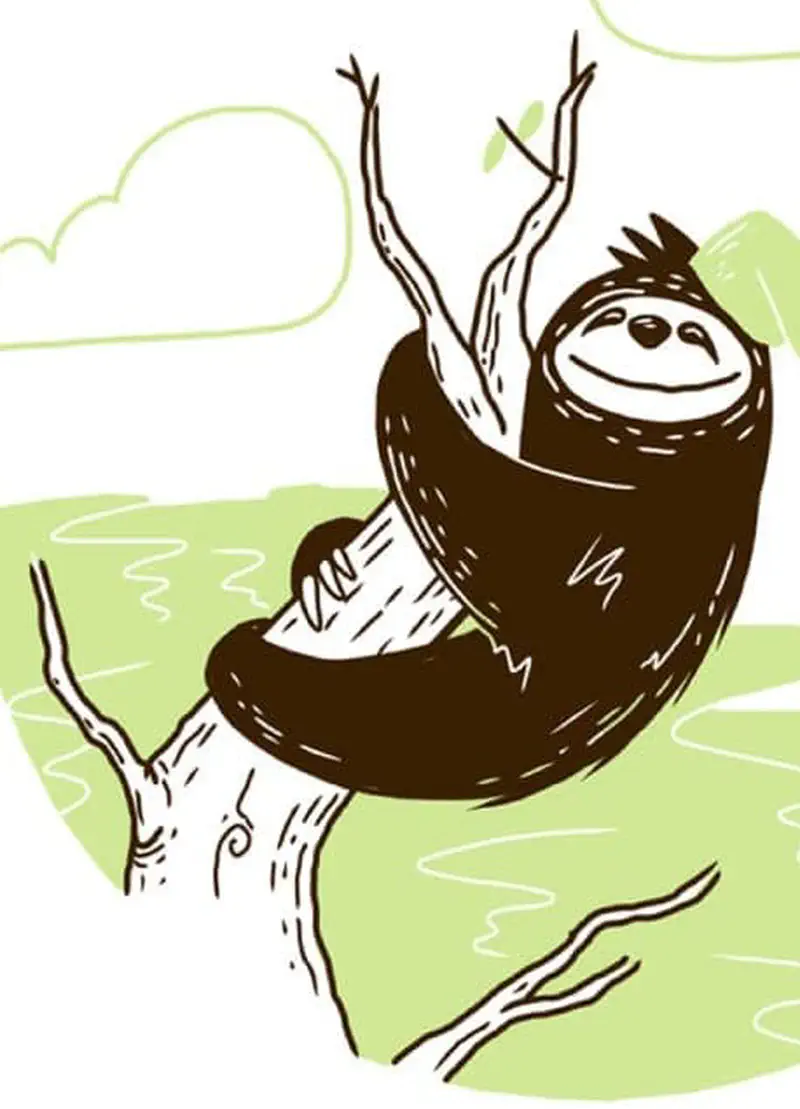 Happy sloth reaching up toward perfect branch with smile on face