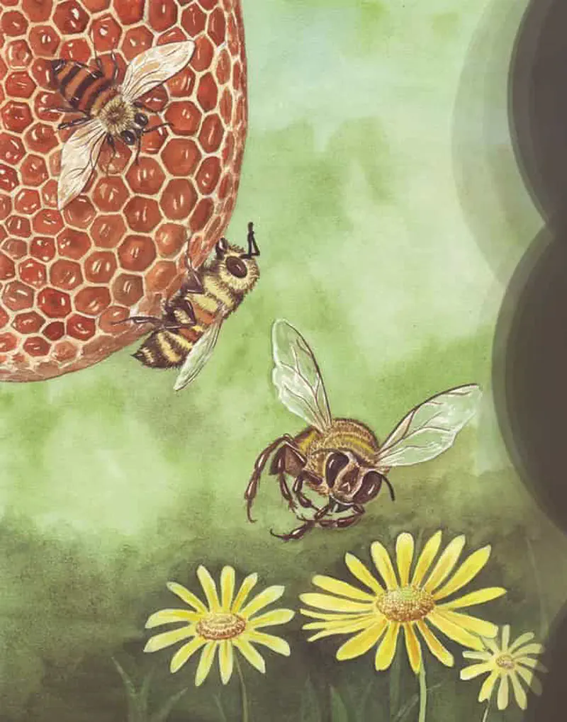 Honey bees working on orange honeycomb with one bee flying toward yellow daisies