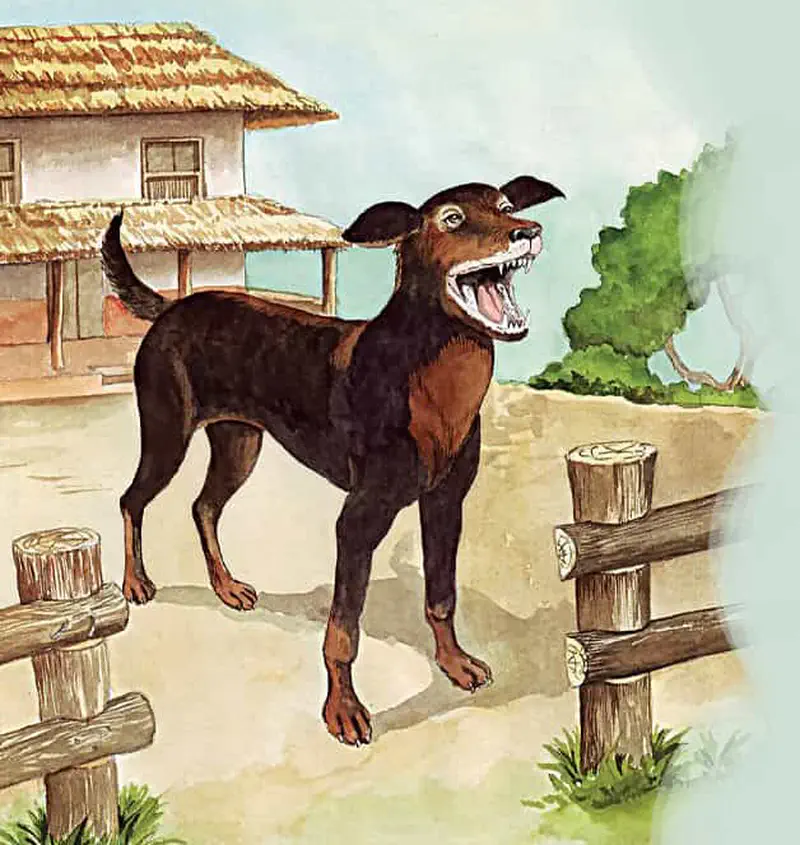 Brown and black dog barking near wooden fence with thatched roof house in background