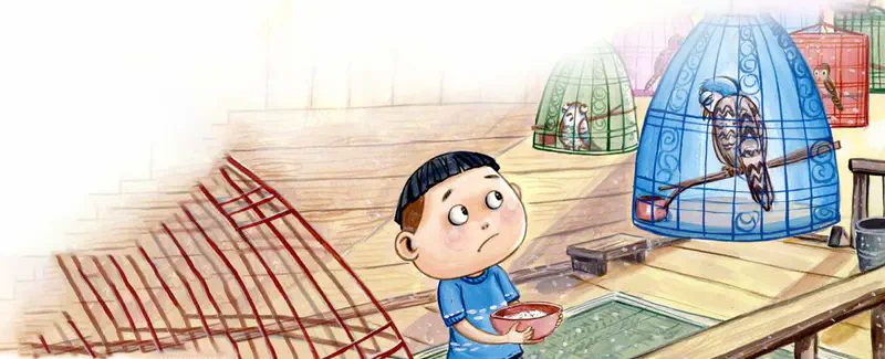 Boy holding food bowl looking at birds in colorful cages at market with empty cage frame nearby