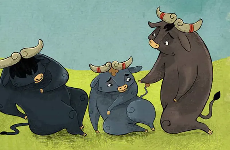 Bigger bull reassuring Bop that everyone learns at different pace