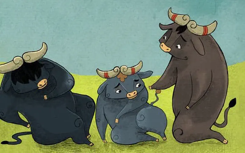 Small blue bull Bop sitting sadly between two larger bulls looking at him with concern