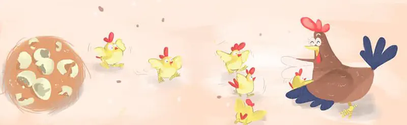 Happy hen chasing five fluffy yellow chicks running from nest with broken eggshells