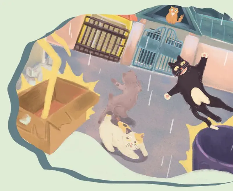 Cats in rain including black and white cat standing and calico cat crouching near boxes