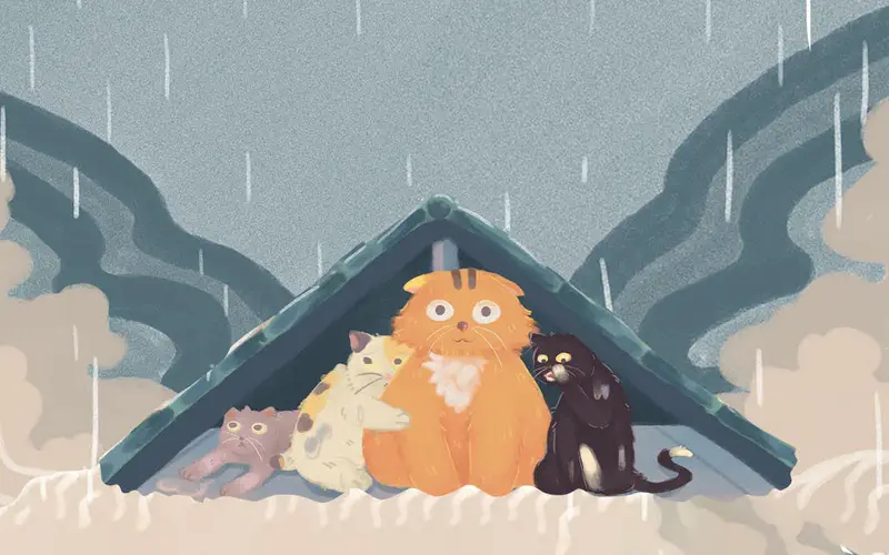 Four cats huddled together under green roof shelter during heavy rainstorm with dark clouds