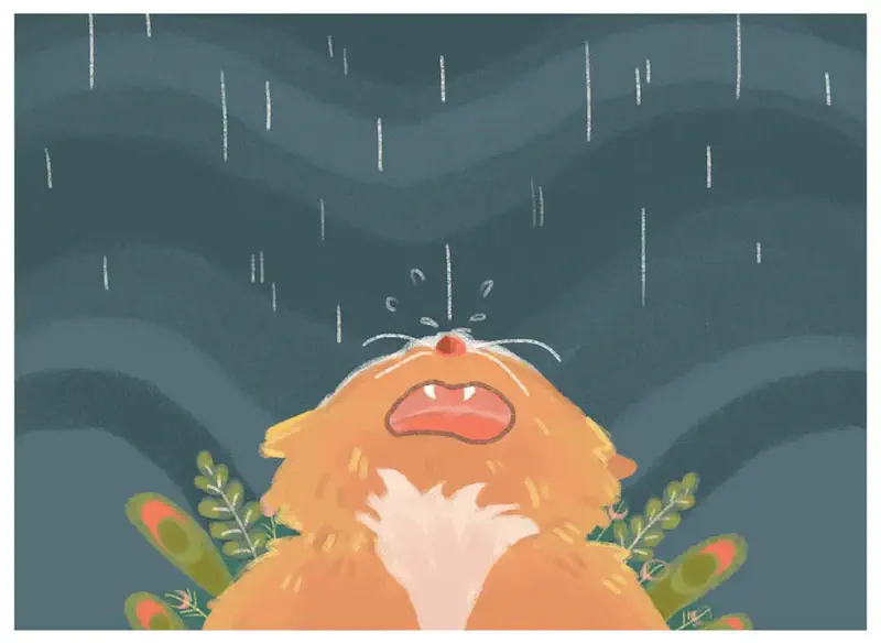 Orange cat looking up crying with rain falling on face against dark sky with plants