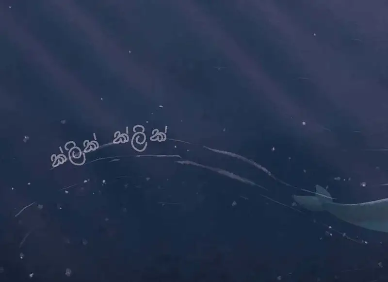 Deep blue ocean with faint Sinhala text, light rays from surface, whale tail visible in distance.