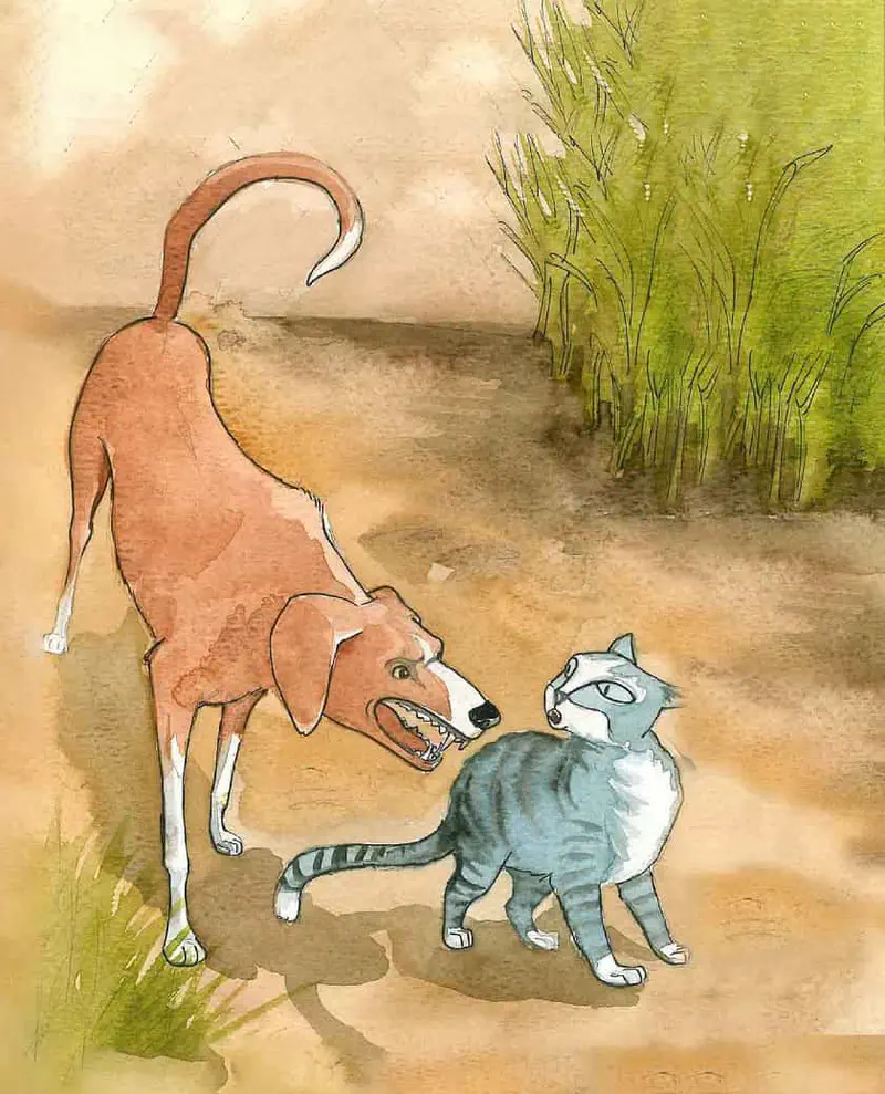 Brown dog and gray cat facing each other aggressively on dirt path near grass
