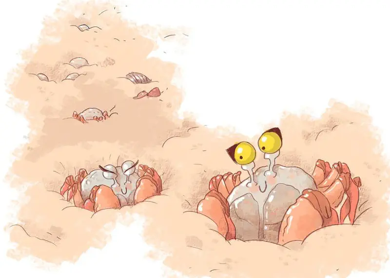 Two crabs burrowing in sand, one with eyes closed resting and another with bright yellow eyes looking alert, with shells in the background.