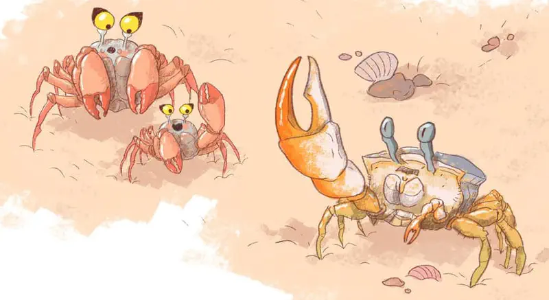 Adult crab with baby crab beside it on sandy beach, with a yellow fiddler crab raising its large claw nearby and seashells scattered around.
